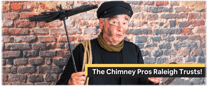 Chimney and Fireplace Inspection Raleigh